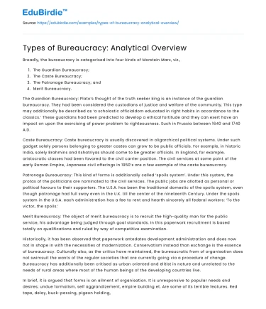 Types of Bureaucracy: Analytical Overview