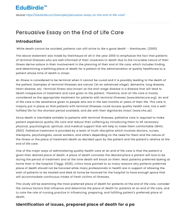 Persuasive Essay on the End of Life Care