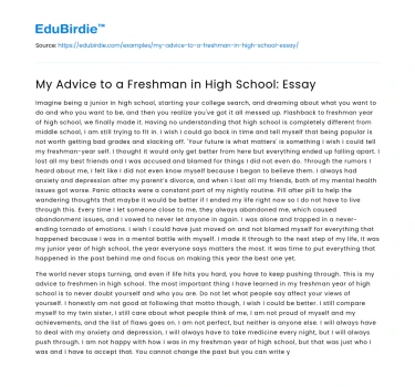 My Advice to a Freshman in High School: Essay