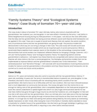 Case Study: Family & Ecological Systems Theory on Somalian Elder