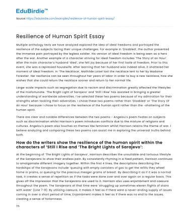 Resilience of Human Spirit Essay