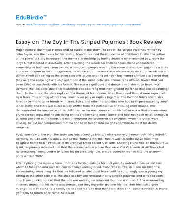 Essay on ‘The Boy In The Striped Pajamas’: Book Review