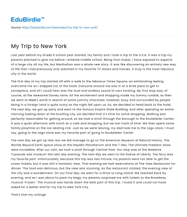 My Trip to New York