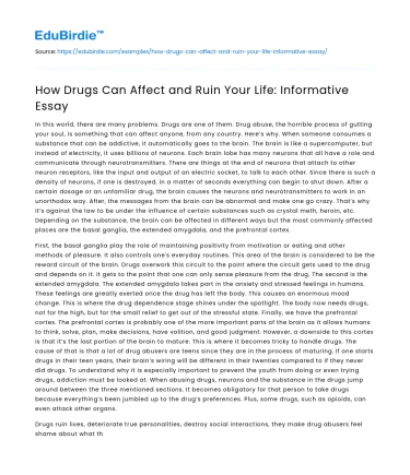 How Drugs Can Affect and Ruin Your Life: Informative Essay