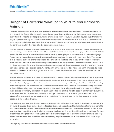 Danger of California Wildfires to Wildlife and Domestic Animals
