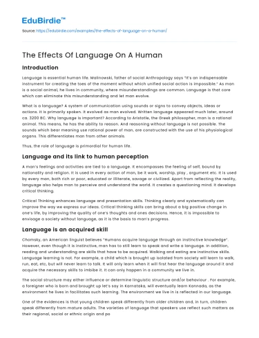 The Effects Of Language On A Human