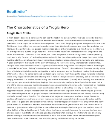 The Characteristics of a Tragic Hero