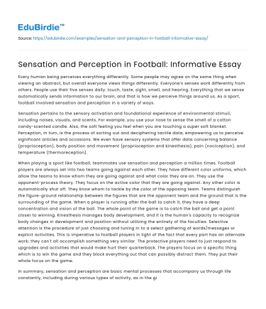 Sensation and Perception in Football: Informative Essay