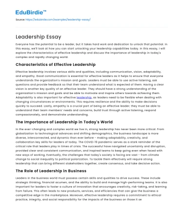 Leadership Essay