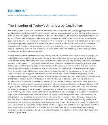 The Shaping of Today’s America by Capitalism