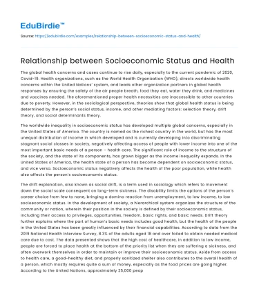 Relationship between Socioeconomic Status and Health