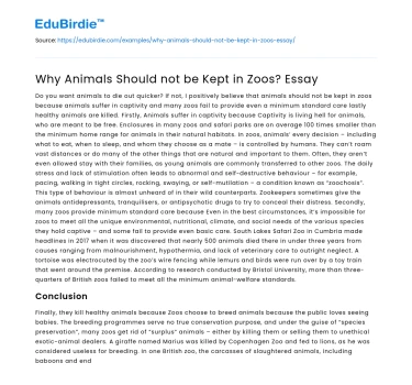 Why Animals Should not be Kept in Zoos? Essay