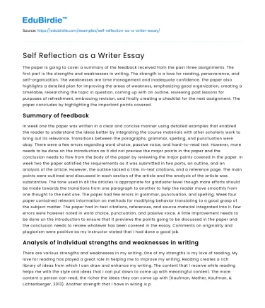 Self Reflection as a Writer Essay
