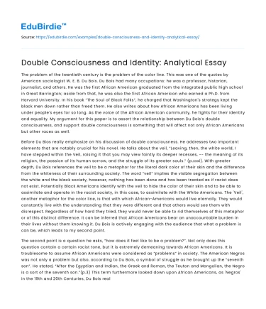 Double Consciousness and Identity: Analytical Essay