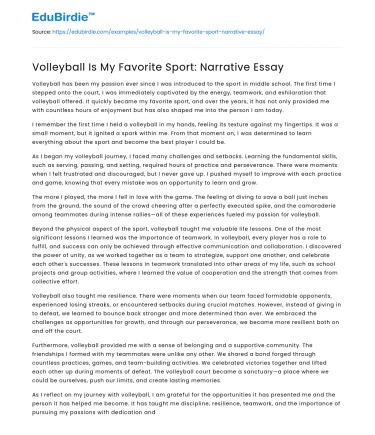 Volleyball Is My Favorite Sport: Narrative Essay