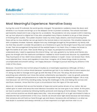 Most Meaningful Experience: Narrative Essay