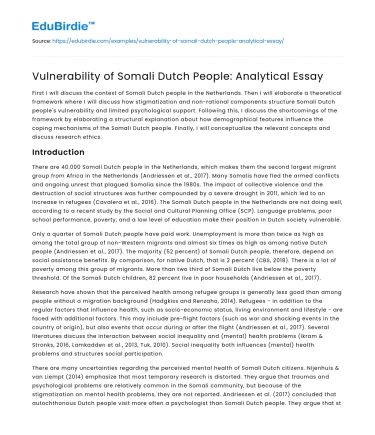 Vulnerability of Somali Dutch People: Analytical Essay