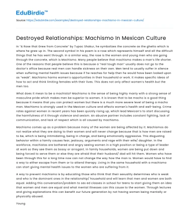Destroyed Relationships: Machismo In Mexican Culture