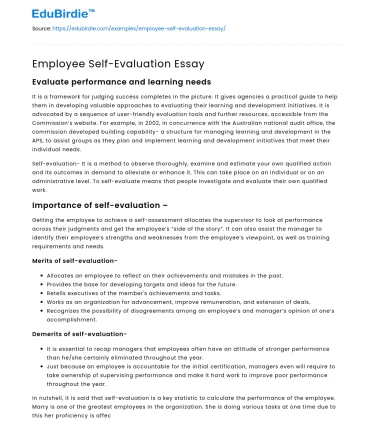 Employee Self-Evaluation Essay
