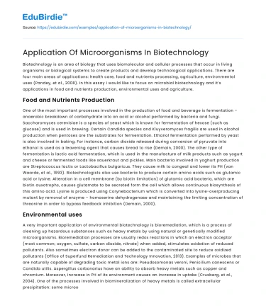 Application Of Microorganisms In Biotechnology