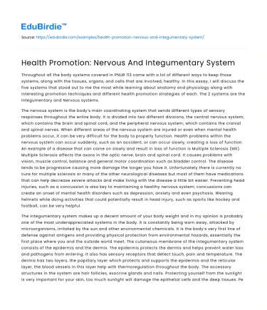 Health Promotion: Nervous And Integumentary System