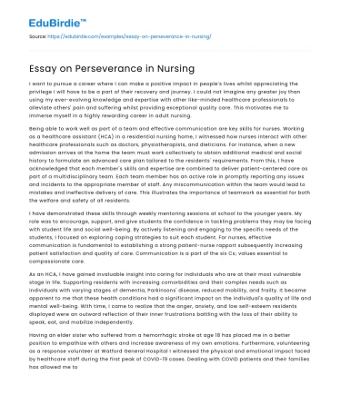 Essay on Perseverance in Nursing