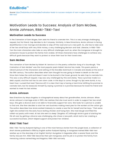 Motivation and Success in Literary Characters: Analysis