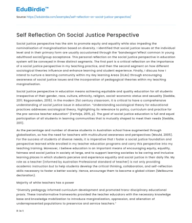 Self Reflection On Social Justice Perspective