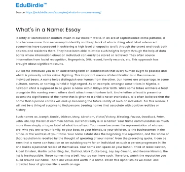 What’s in a Name: Essay