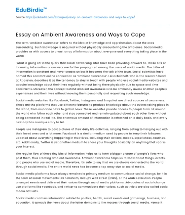 Essay on Ambient Awareness and Ways to Cope