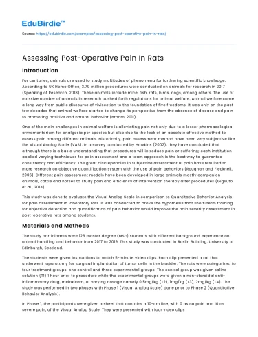 Assessing Post-Operative Pain In Rats