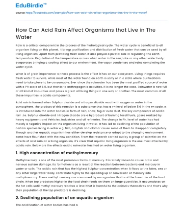 How Can Acid Rain Affect Organisms that Live in The Water