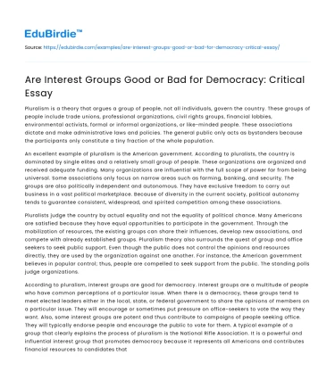 Are Interest Groups Good or Bad for Democracy: Critical Essay