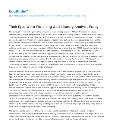 Their Eyes Were Watching God’ Literary Analysis Essay