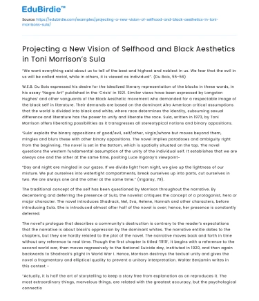 New Vision of Selfhood & Black Aesthetics in Toni Morrison’s Sula