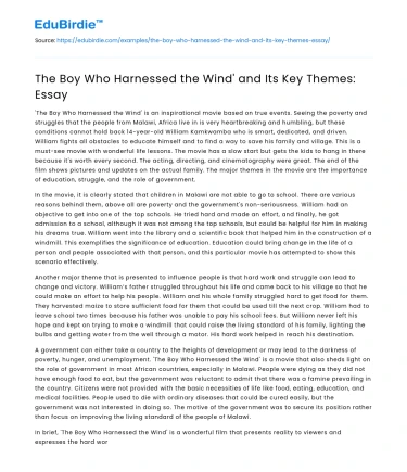 The Boy Who Harnessed the Wind’ and Its Key Themes: Essay