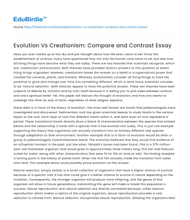 Evolution Vs Creationism: Compare and Contrast Essay