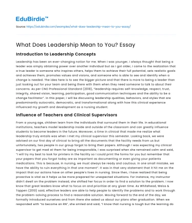 What Does Leadership Mean to You? Essay