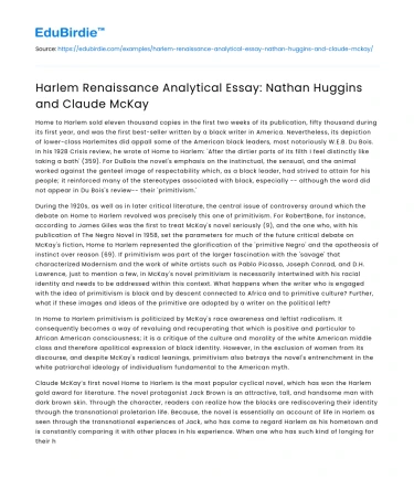 Harlem Renaissance Analytical Essay: Nathan Huggins and Claude McKay