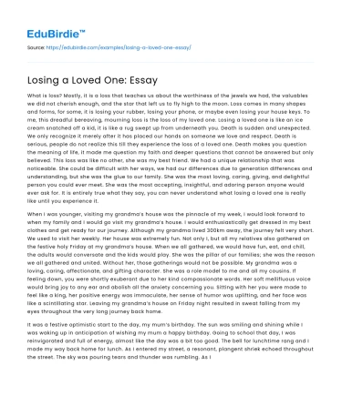 Losing a Loved One: Essay