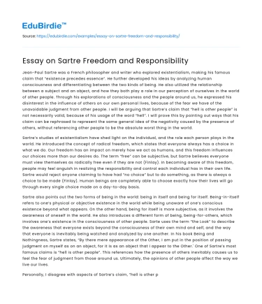 Essay on Sartre Freedom and Responsibility