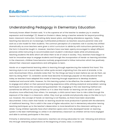 Understanding Pedagogy in Elementary Education