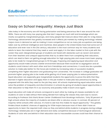 Essay on School Inequality: Always Just Black