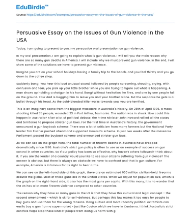 Persuasive Essay on the Issues of Gun Violence in the USA