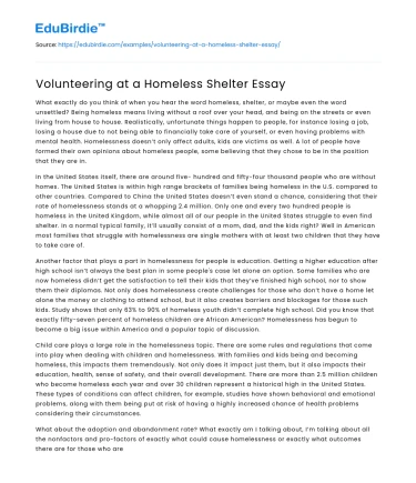 Volunteering at a Homeless Shelter Essay