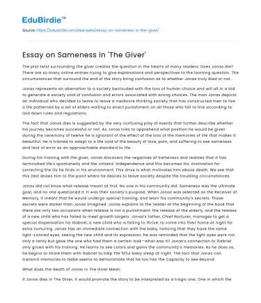 Essay on Sameness in ‘The Giver’