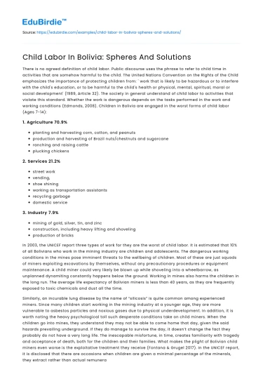 Child Labor In Bolivia: Spheres And Solutions