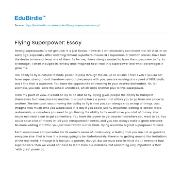 Flying Superpower: Essay