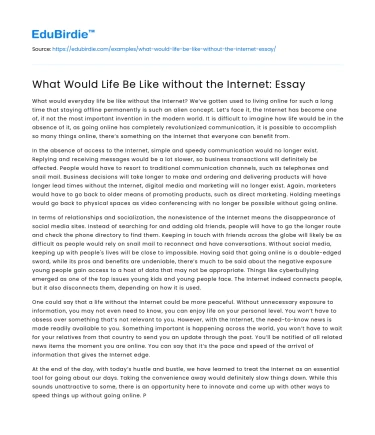 What Would Life Be Like without the Internet: Essay