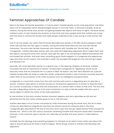 Feminist Approaches Of Candide